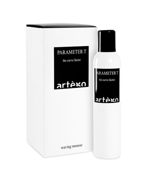 Parameter T