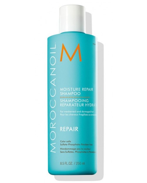 Repair Moisture Repair Shampoo 250ml