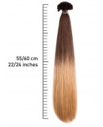 HEX8007D - SHE Extension Shatush Effect con Cheratina 55/60