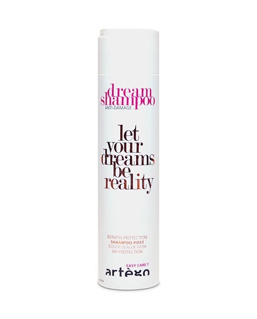 Dream Shampoo Post