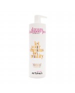 Dream Shampoo Post